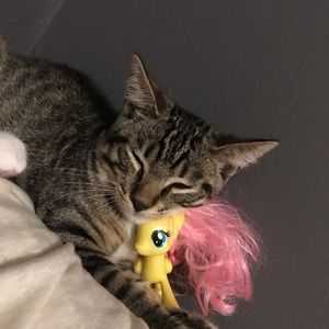 Meet your Posher, Erika